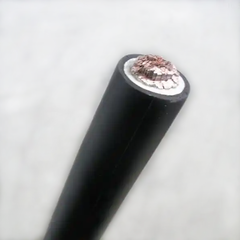 WDZ-DCYJ/3-125-50平方輻照交聯(lián)聚烯烴無鹵低煙阻燃電纜